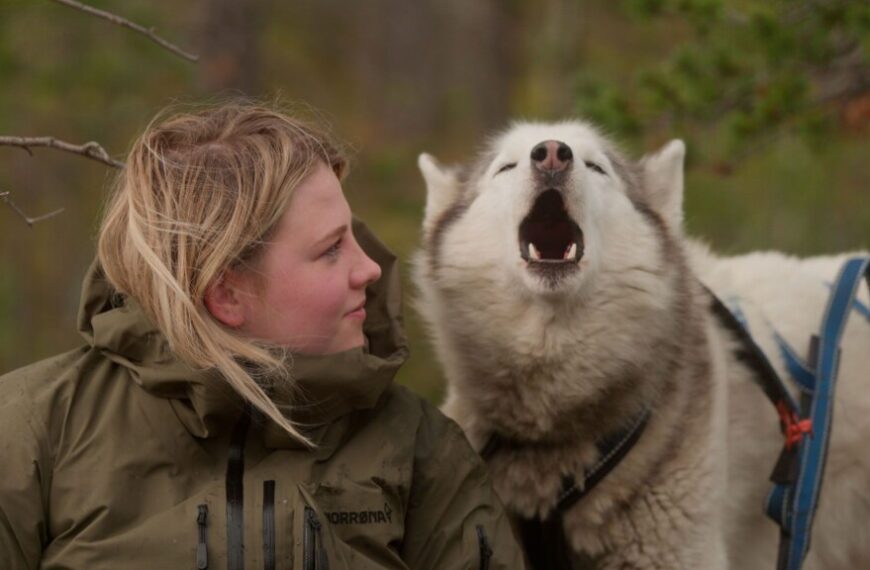 Sundance 2025: FOLKTALES’ poetic and musical cinematic portrait of Nordic folk school in the Arctic has charmed audiences